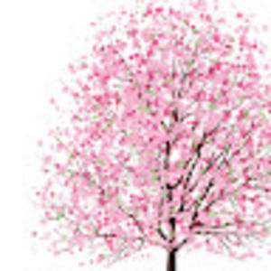 Meet your Posher, Karisa